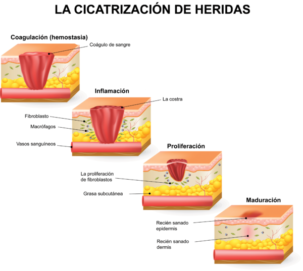 https://www.skinshineiberica.es/