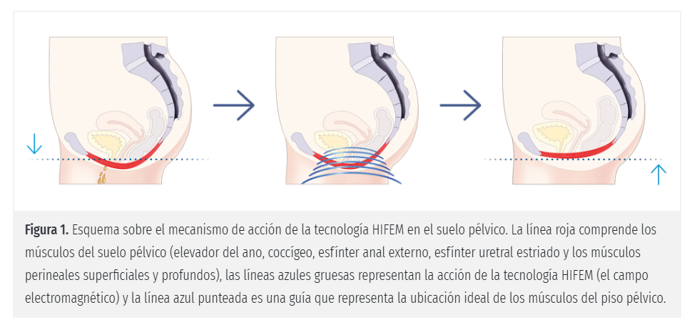 https://www.nutridermovital.es/tienda-grupo-nutridermovital/CURSOS-DE-APARATOLOGIA-EN-ESPA%C3%91OL-c36385202